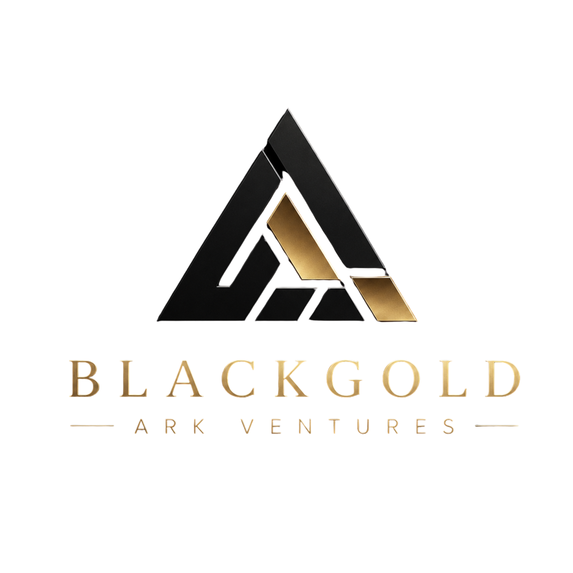 blackgoldarkventures.com